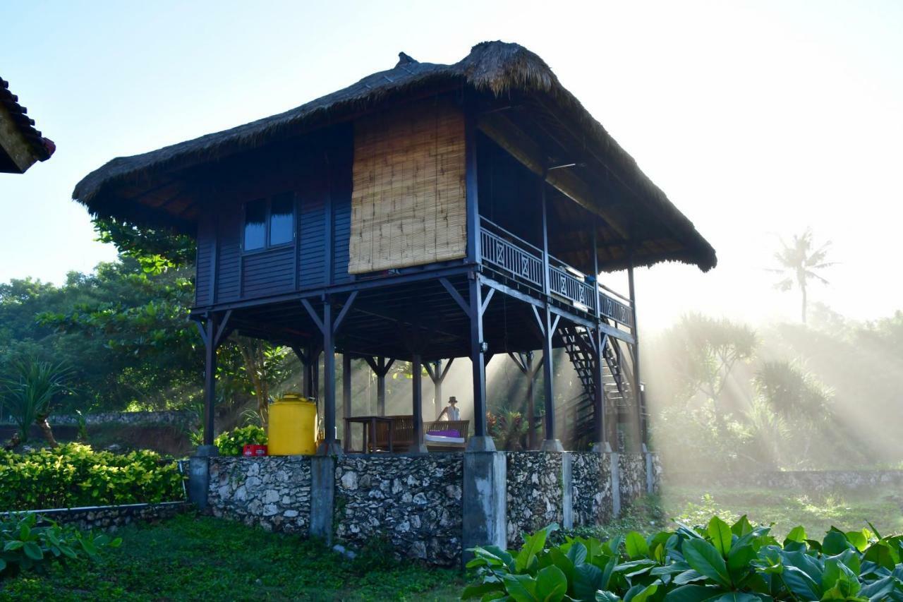 Island Cove Resort 蓝梦岛 外观 照片